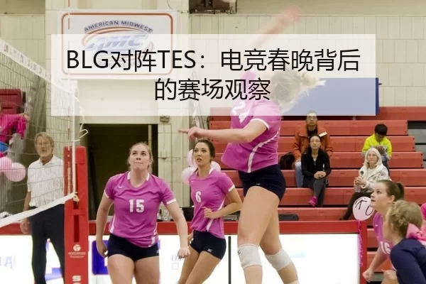 BLG对阵TES：电竞春晚背后的赛场观察（kaiyun）